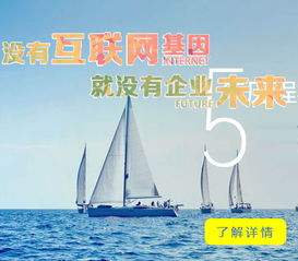 成都軟件開發外包生態 企業數字化轉型的可靠伙伴