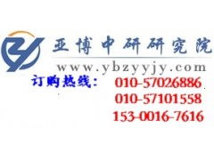 中國軟件外包服務(wù)行業(yè)投資分析及發(fā)展前景研究報告